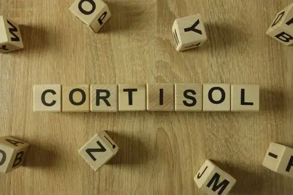 The Hidden Connection: How Stress Shapes Your Fitness and Body Composition 2 Image saying "Cortisol" and how stress Sandwich impacts your wellbeing and bodies shape